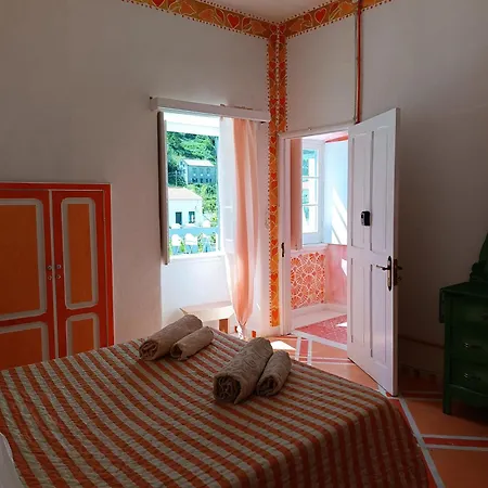 Avo Da Rosa 2 Faial da Terra