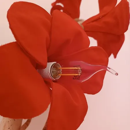 Avo Da Rosa 2 * Faial da Terra