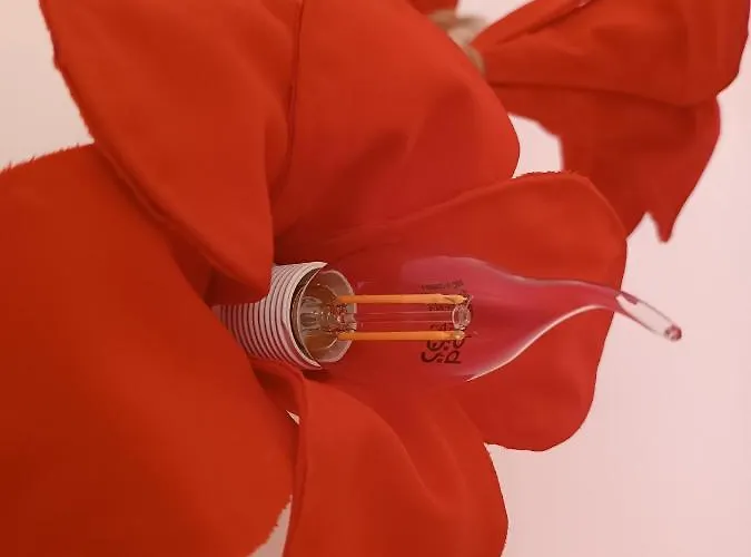 Avo Da Rosa 2 * Faial da Terra